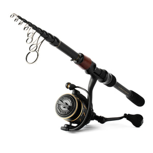 Portable Fishing Rods Fishing Rod Combo Telescopic Fishing Rod and Spinning  Fishing Reel Fishing Set Carp